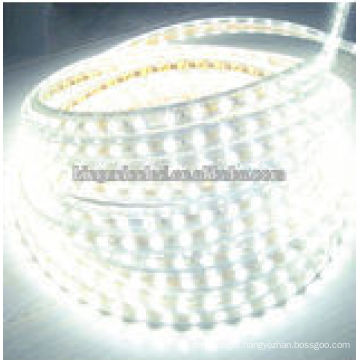 High Brightness 12V 60pcs/m Cold White 5630 led strip light